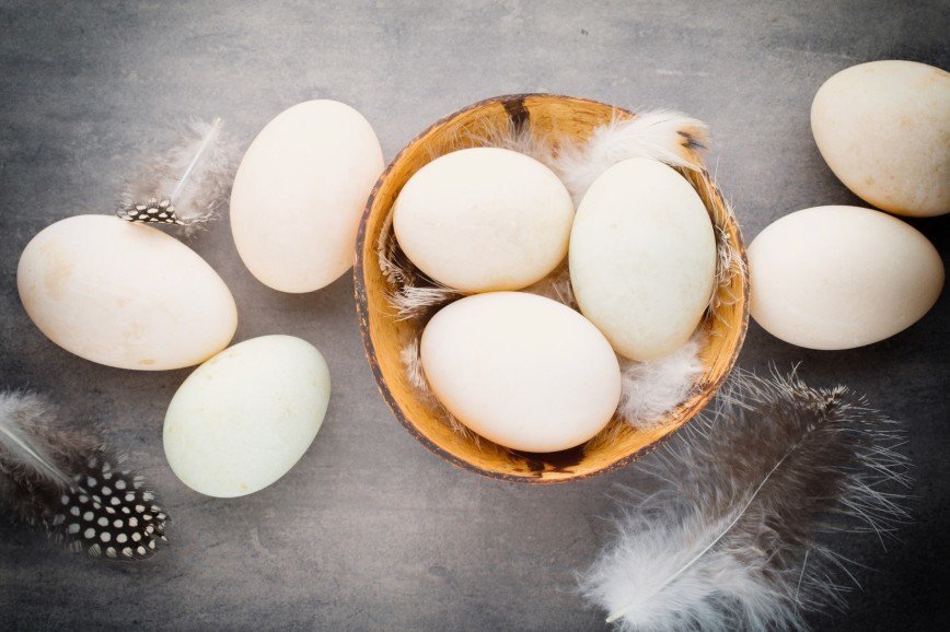 Употребление яиц снижает риск инсульта